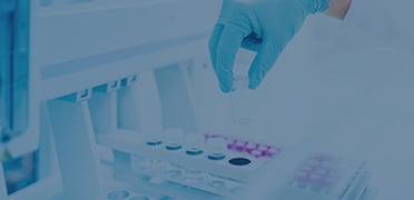 MuLV Titer p30 ELISA Kit