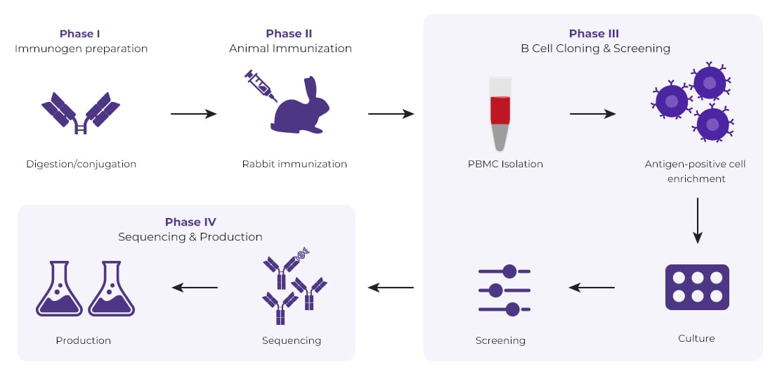 Anti-ID Rabbit Monoclonal Antibody Package