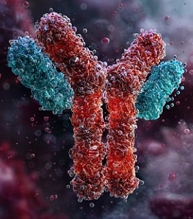 Epitope Tag Antibodies