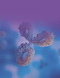 Secondary Antibodies