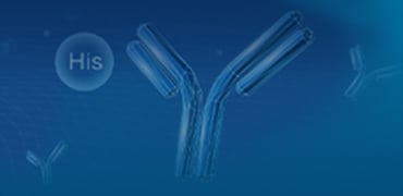 Epitope Tag Antibodies