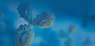 Secondary Antibodies