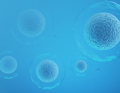 CytoSinct™ Nanobeads