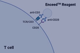 Enceed™ T Cell Activation Reagent