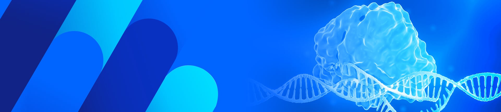 CRISPR/Cas9 sgRNA Synthesis
