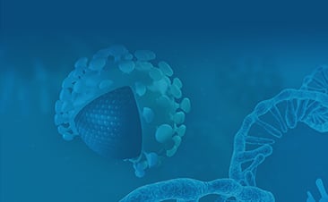 IVT mRNA Production GenScript