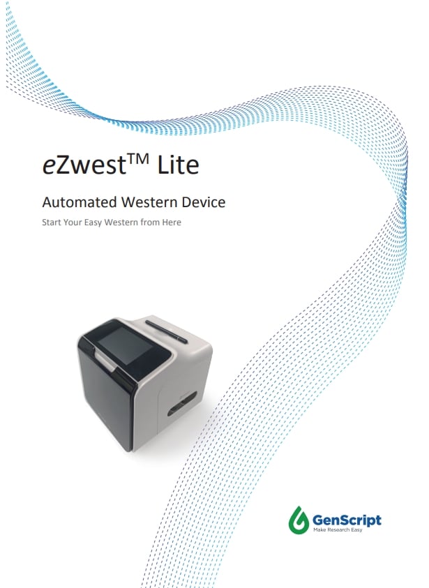 eZwest™ Lite