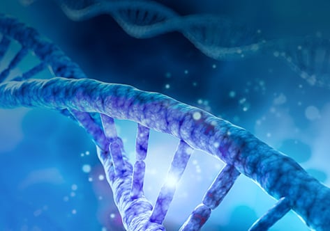 GenBuilder™ DNA Assembly