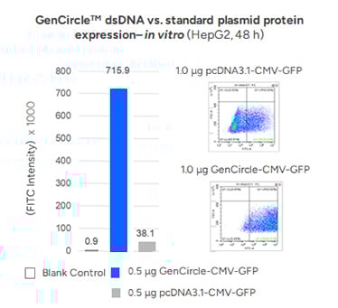 GenCircleTM dsDNA vs. standard plasmid protein expression– in vitro (HepG2, 48 h)
                