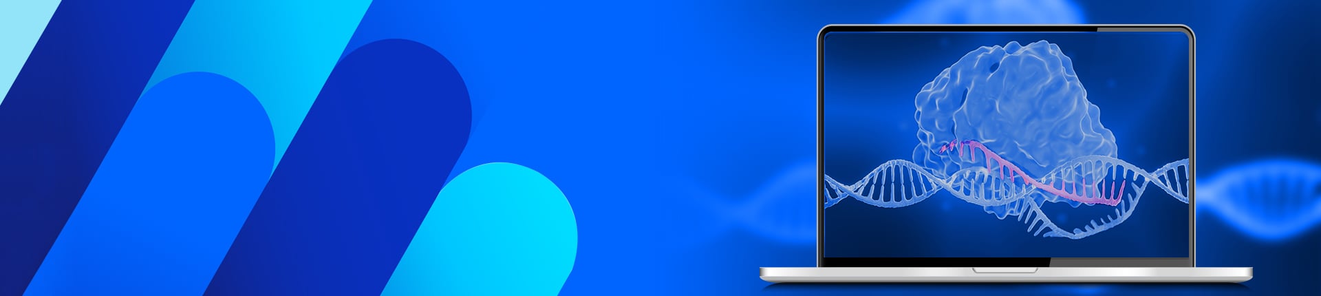 GenCRISPR gRNA & HDR Template Design Tools