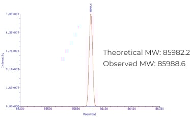 HPLC purified pegRNA (218nt): Precise molecular weight