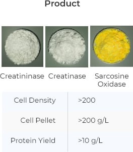 enzyme manufacturing- product