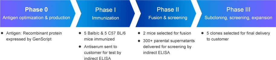 Custom mouse monoclonal antibodies case study