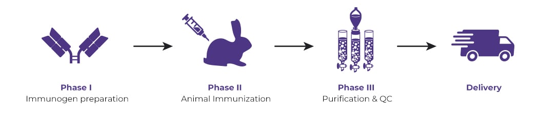 Anti-ID Polyclonal Antibody Package 