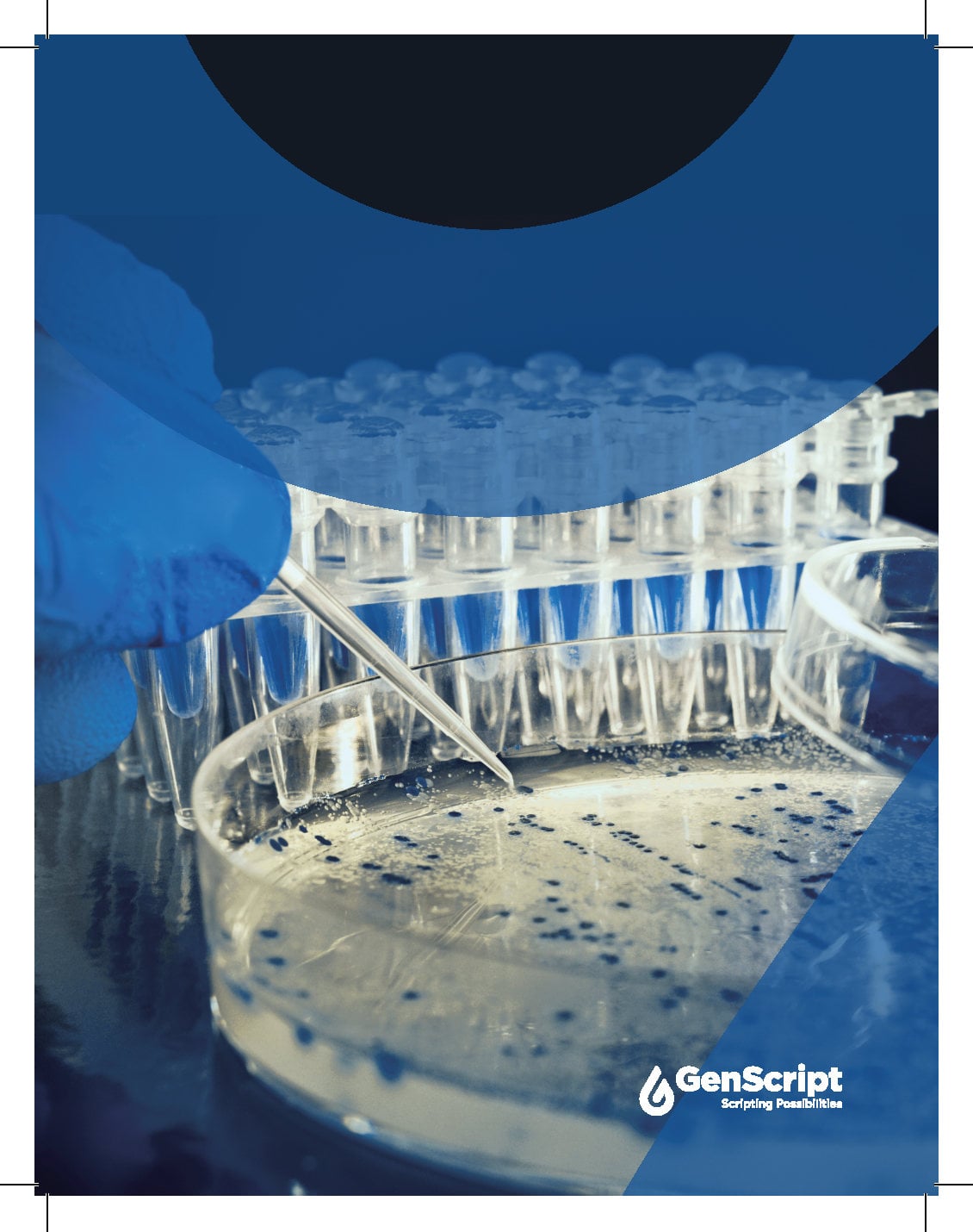 Molecular Biology Products Brochure