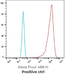 Serum titer after CLD18.2-LNP immunization