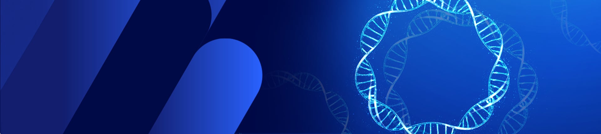 mRNA Plasmid Solutions