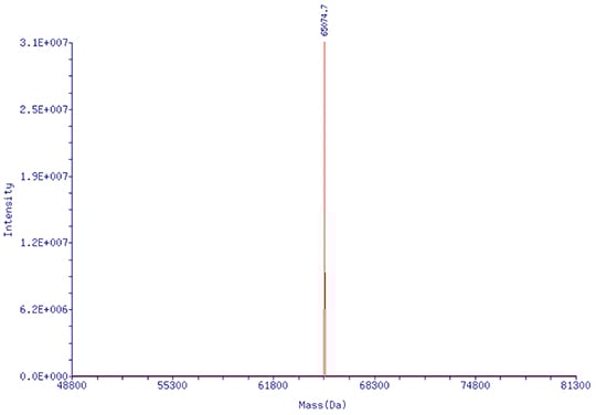 218nt chemosynthetic DNA oligo, HPLC purification