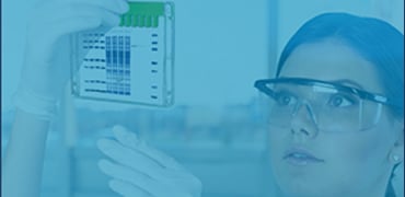 Surepage™ Precast Gels