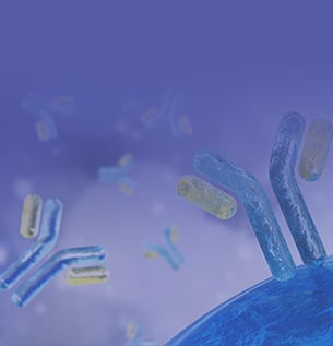Antibody Purification