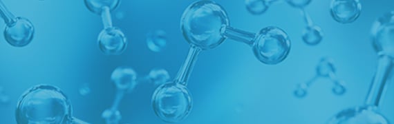 Protein A Magnetic Beads