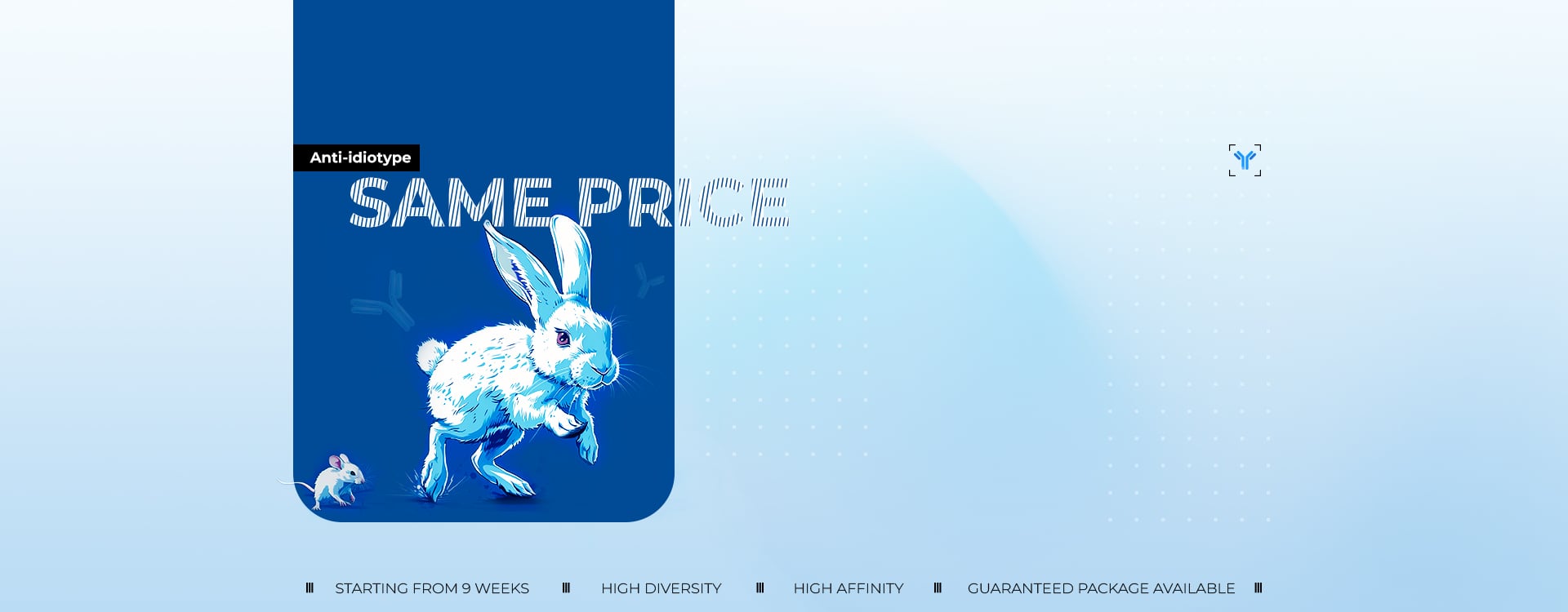 Mouse Price,Rabbit Performance!