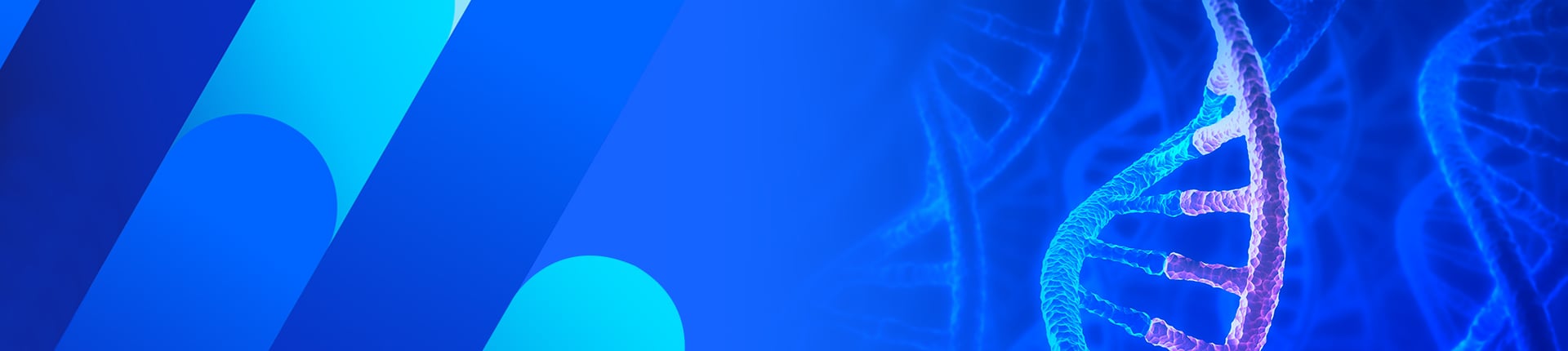 Custom RNA Oligo Synthesis