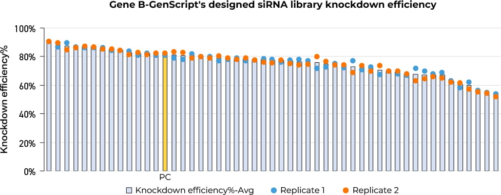 Genscript's Small Nucleic Acid Drug AI Design Platform