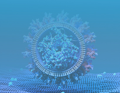 Stable Cell Line Assays 
