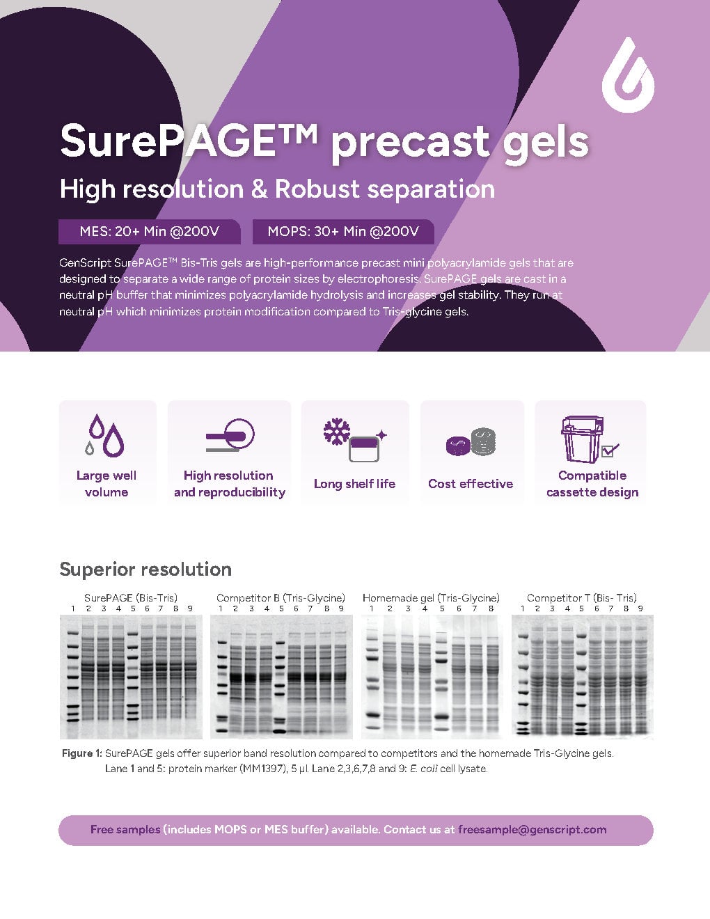 SurePAGE™ Precast gel