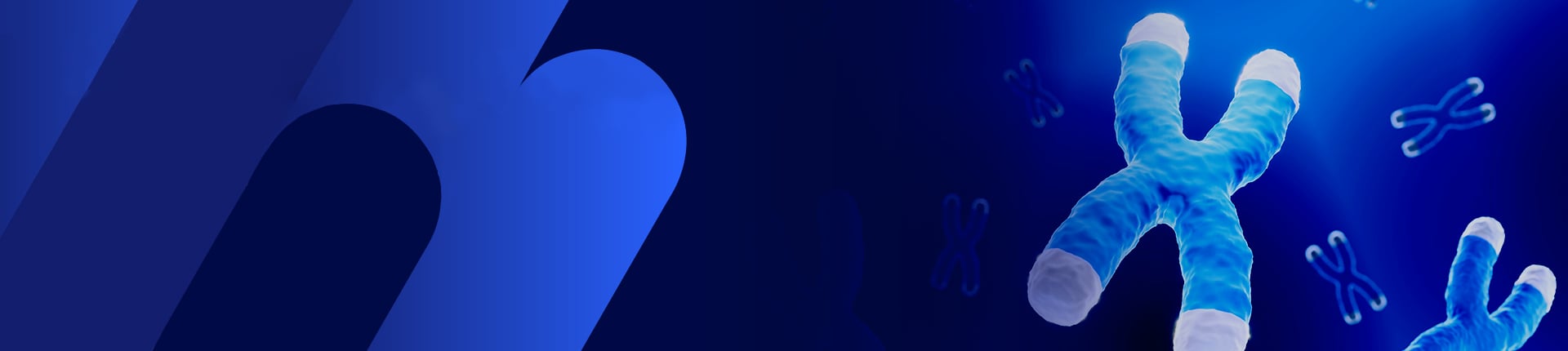 GenBrick™ ——Long DNA Sequence Up to 200 kb