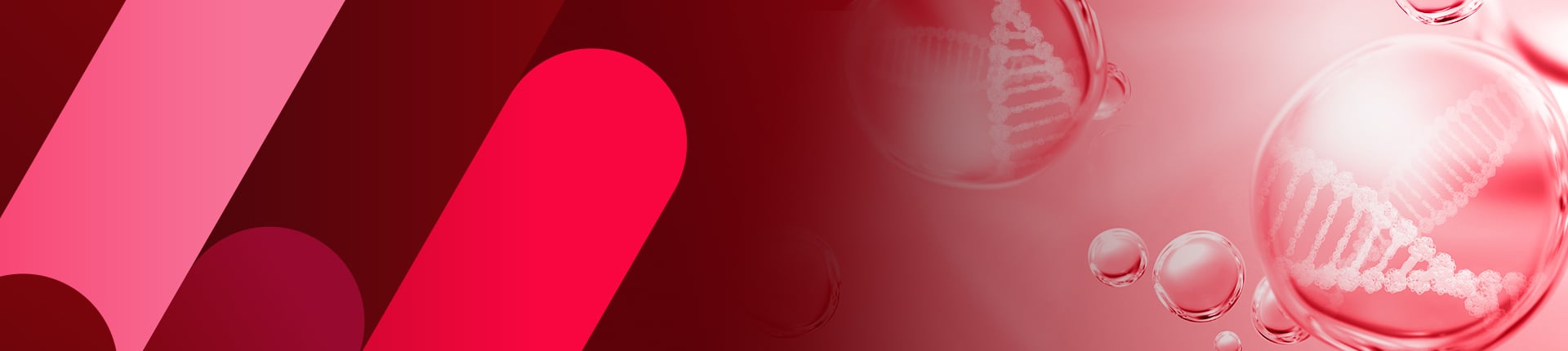 Cell Engineering Platform