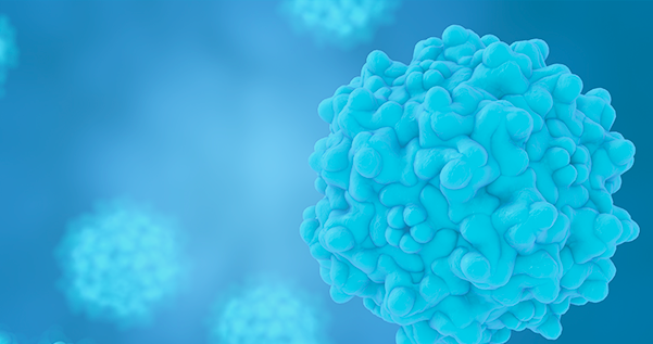 AAV2 and AAVX Titer Capsid ELISA Kits