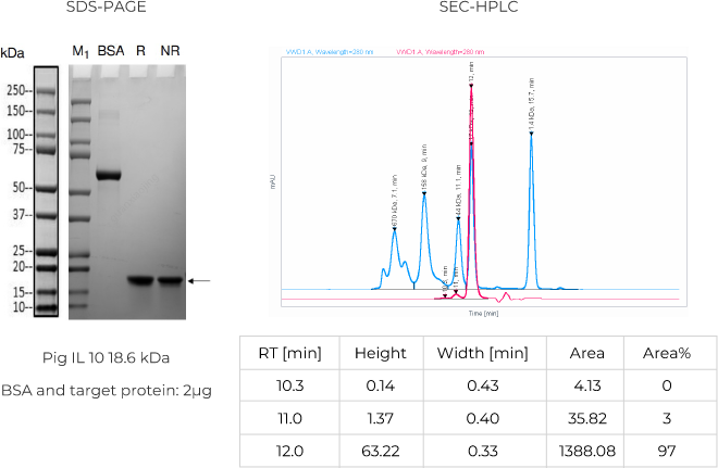 Cytokine_Interleukins-10 SDS-PAGE & SEC-HPLC