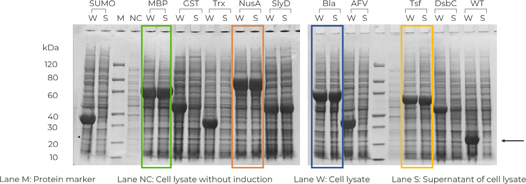 Various Tag Screening method