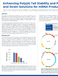 Enhancing Poly(A) Tail Stability and Plasmid Yield: GenScript's Innovative Vector and Strain Solutions for mRNA Production