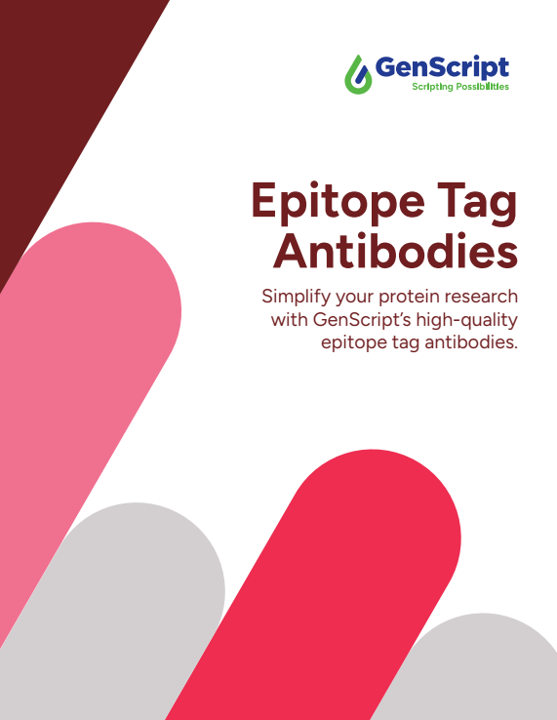 Epitope Tag Antibodies