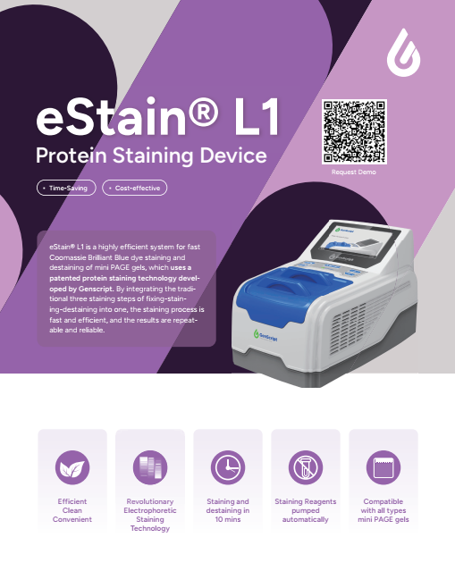 eStain Flyer