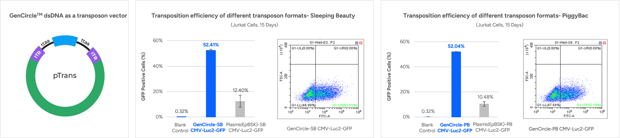 GenCircleTM dsDNA as a transposon vector 