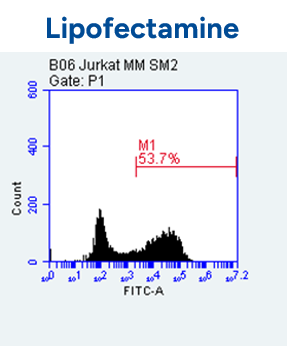 Delivery of eGFP mRNA into Jurkat Cells