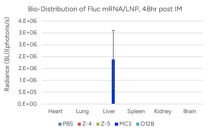 Delivery of Fluc mRNA-LNP into Mice via IM Injection, Ventral  Pose  