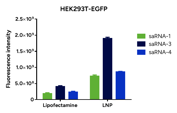 GenScript LNPs demonstrate high transfection efficiency.GenScript LNP showed better transfection efficiency than Lipofectamine