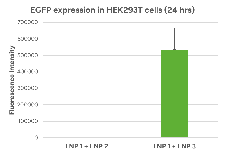 EGFP expression in HEK293T cells (24 hrs) 