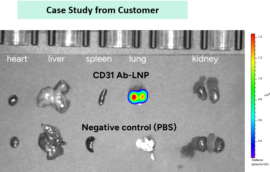 Case Study from Customer
                                