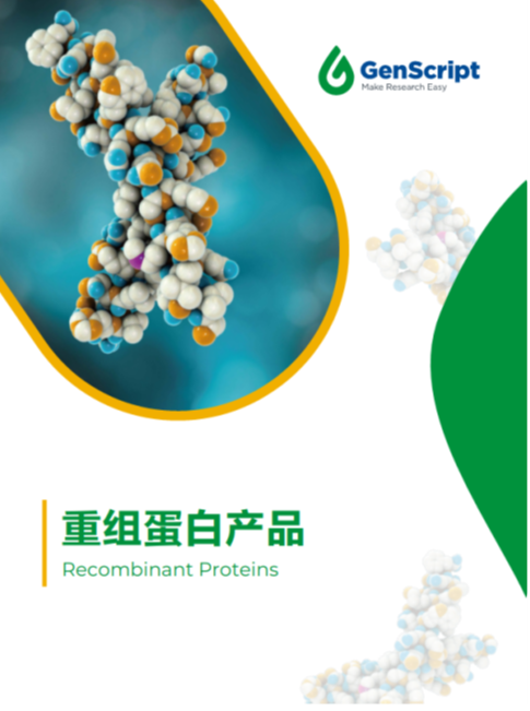 重组蛋白产品