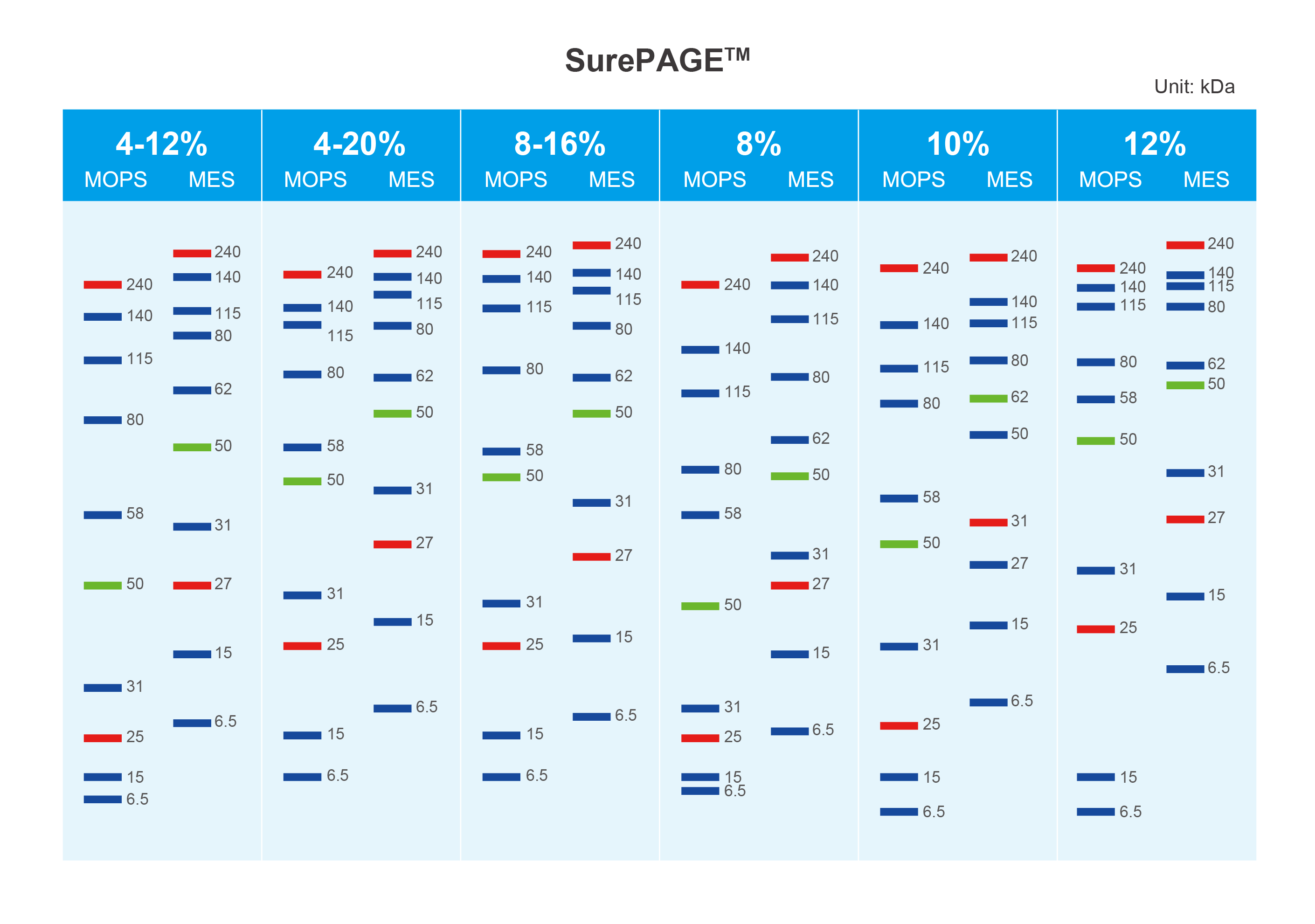 MOPS or MES running buffer